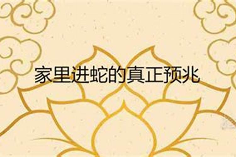 梦见有蛇进屋必出贵人