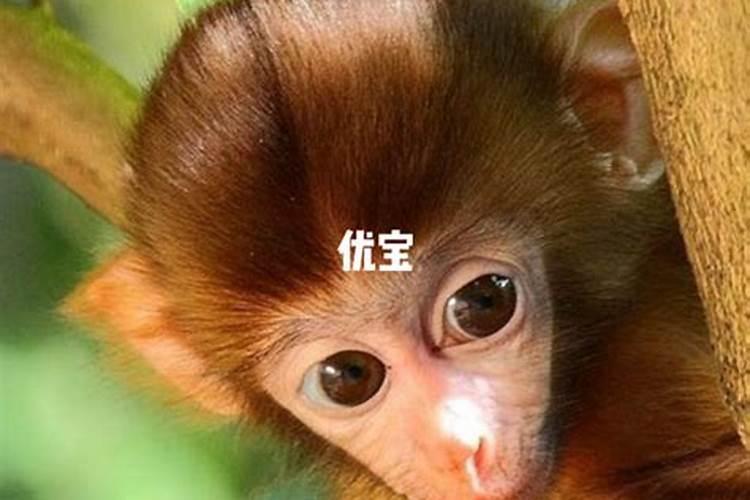 2025年日历表2025年阴阳历对照表,2025年日历表2025年阴阳历对照表