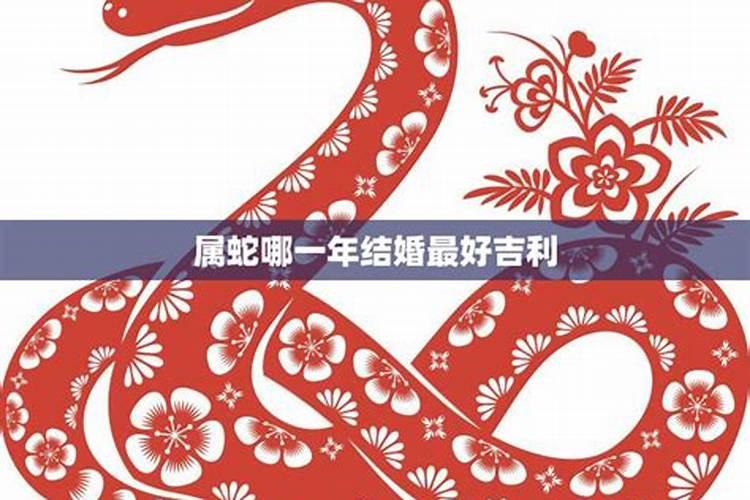 2025年本命年有什么忌讳