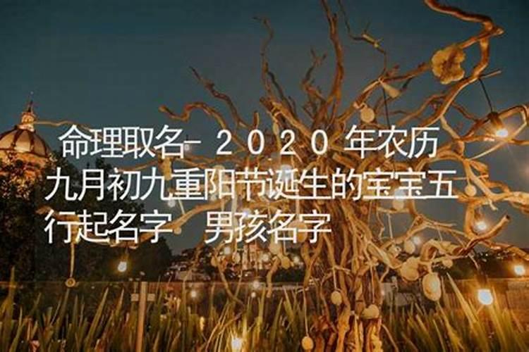 80年属猴女的婚姻如何,1980年猴女一辈子命运