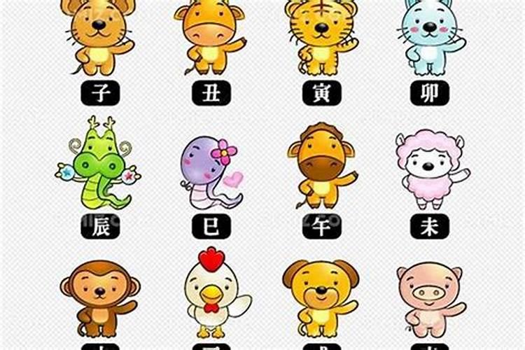 属马男和属兔女的婚姻相配吗