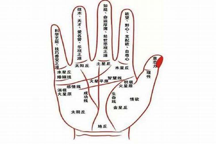 女人十个簸箕代表什么