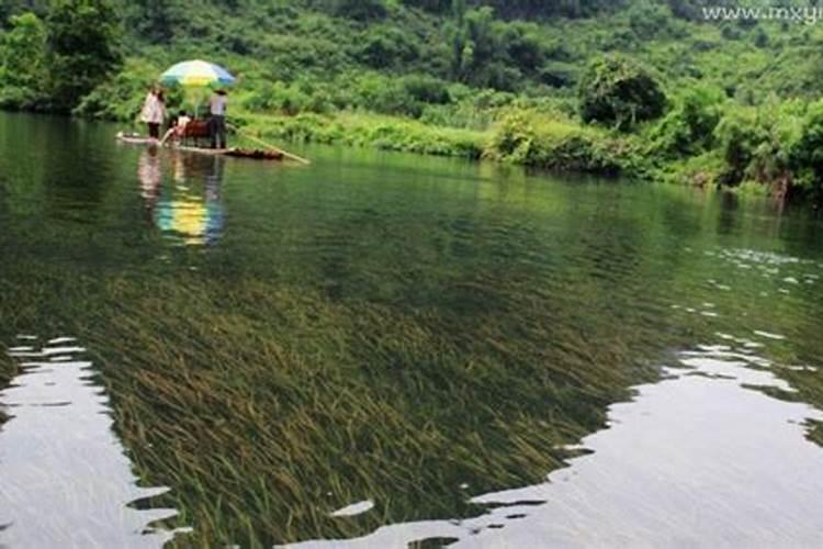 梦见大河水很清