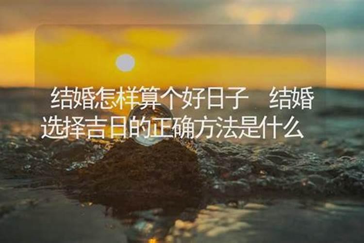 属龙的人养什么好