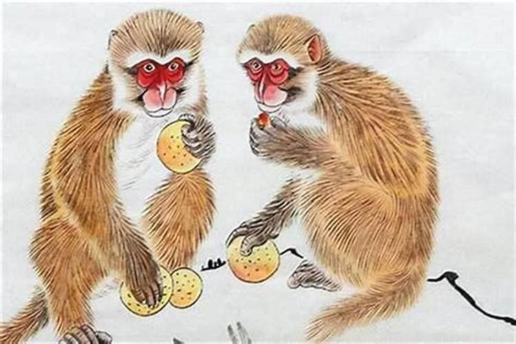 蛇年属猴的犯太岁么