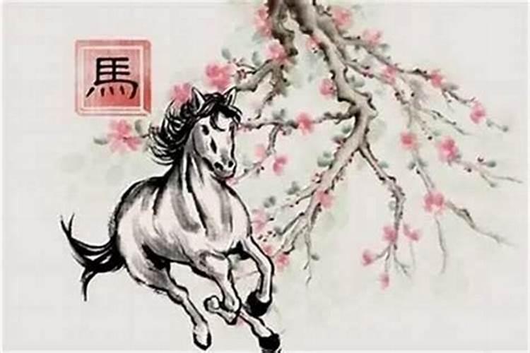 属马的和属狗的配吗马和属狗的属相合吗