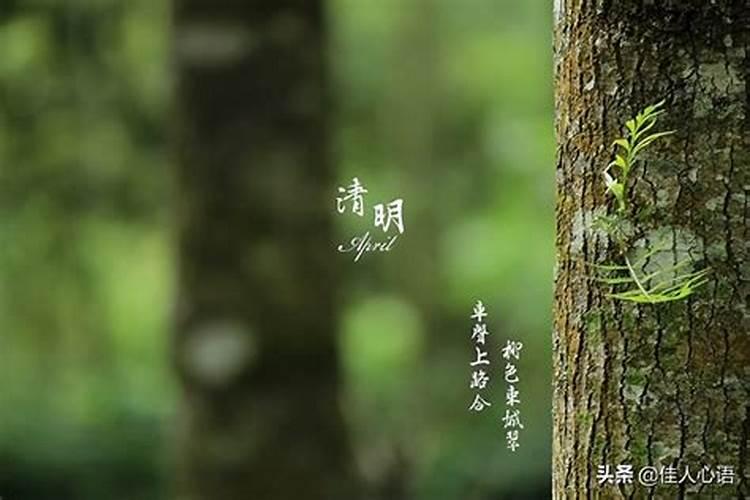 清明将至,祭祖扫墓的三十六个风水禁忌和避讳,你必须知道!