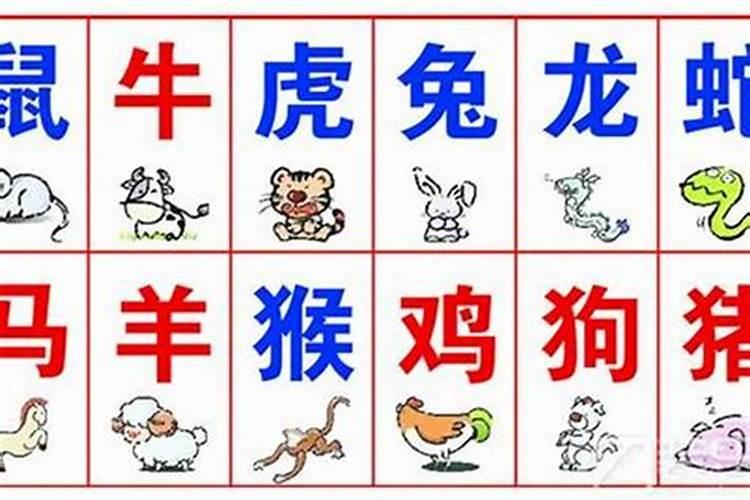 怎样看八字里面是否有华盖和太极？