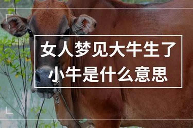 74年出生属虎女2024至2026运势如何