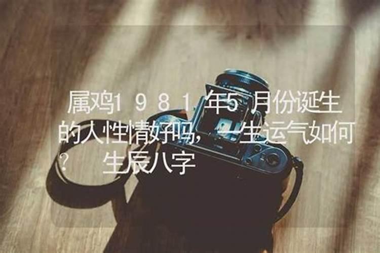 2025年5月26日12生肖运势