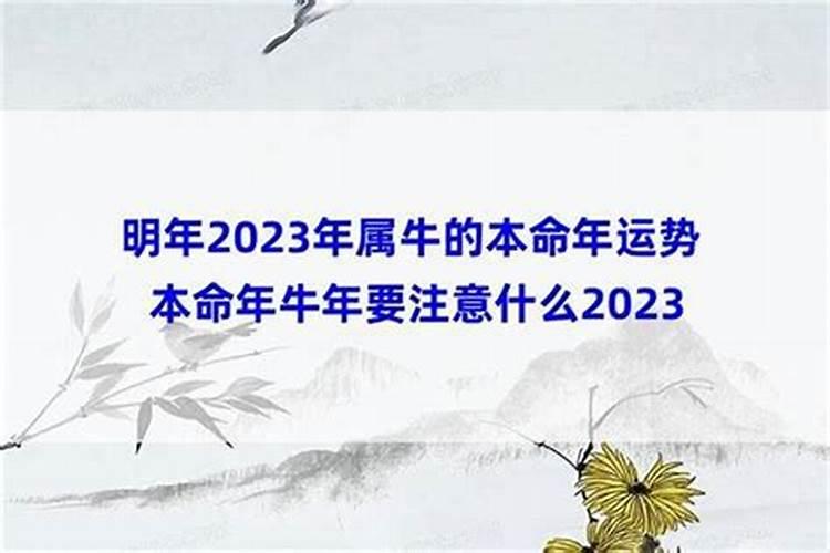 本命年牛戴什么好？