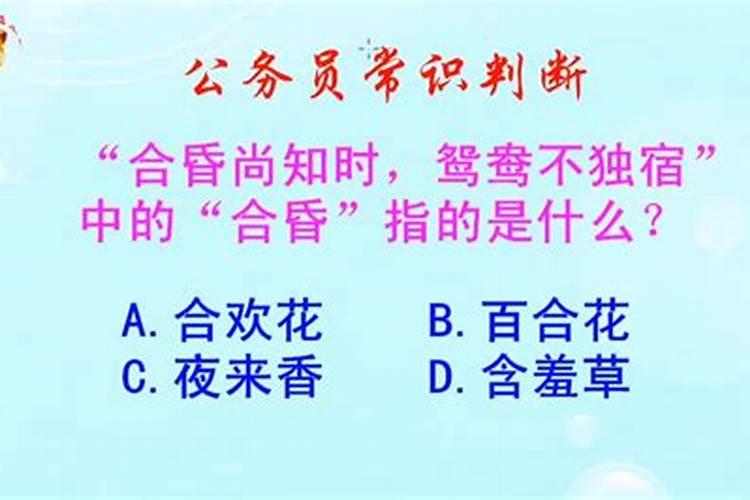 【合昏】的意思是什么？【合昏】是什么意思？