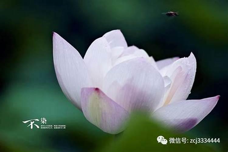大家能不能帮一下忙