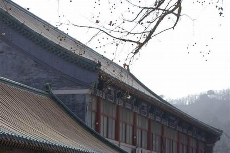 我在河南郑州,请问到哪里出家可行又好办？