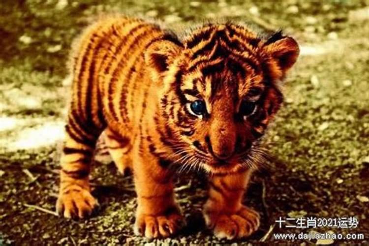 初一十五能不能给亲人烧纸钱