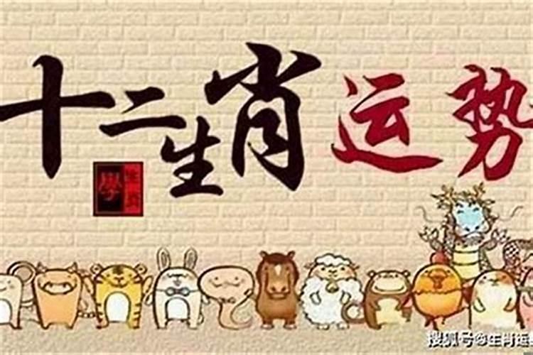 女人梦见猫是什么预兆女人做梦梦到猫什么意思