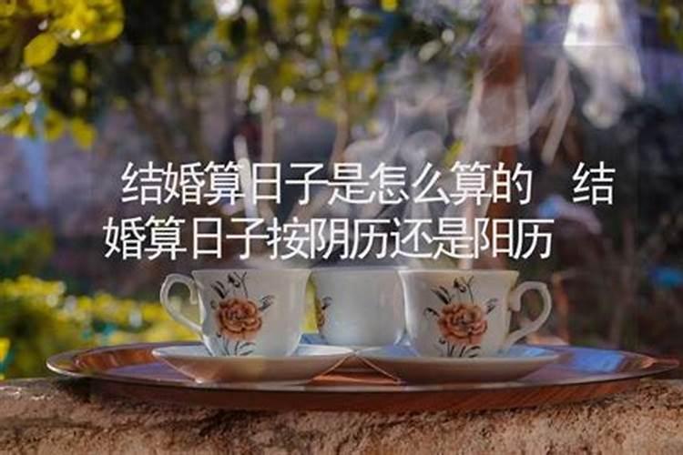 2024龙年犯太岁的四个属相