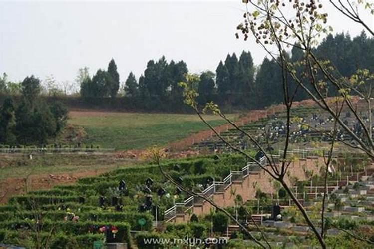 梦见经过墓地预示什么