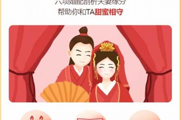 男女最佳属相婚配表,属相婚配