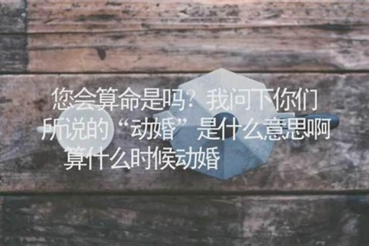 算命动婚是什么意思？