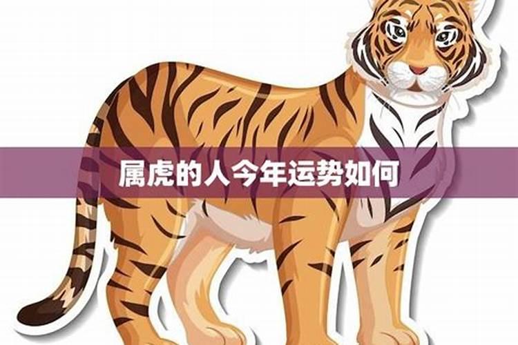 74年属虎人今年运程顺利吗何时走大运
