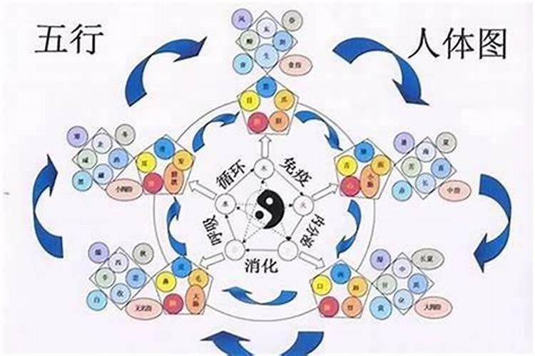属蛇的本命年结婚可以吗