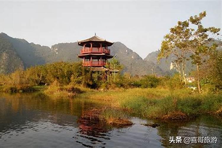 日照海都能钓到什么鱼？