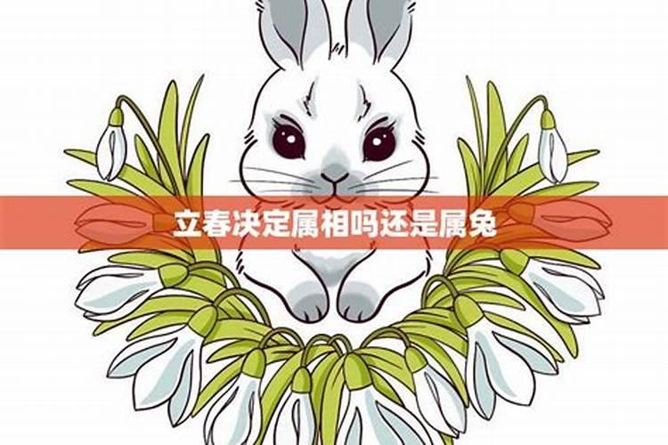 99年立春后出生的孩子属什么