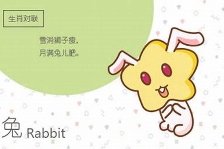 99兔男99兔女八字合吗
