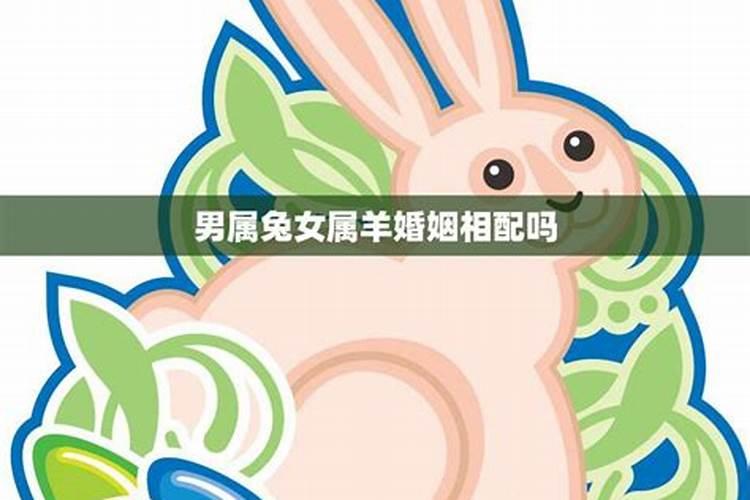 生肖兔女和生肖兔男在一起合适吗