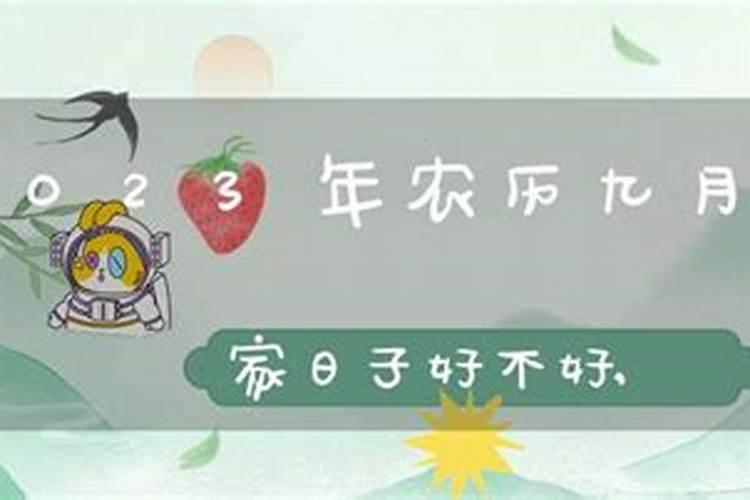 本命年怎么防小人 本命年如何防小人