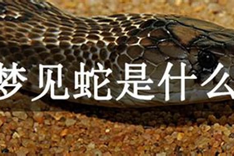 连续两天梦见亲人死了,怎么回事？