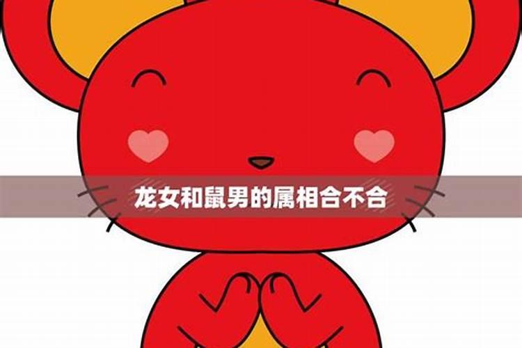 鼠男和龙女,属相相合,但是五行却一个金一个木,说相克,怎么办？