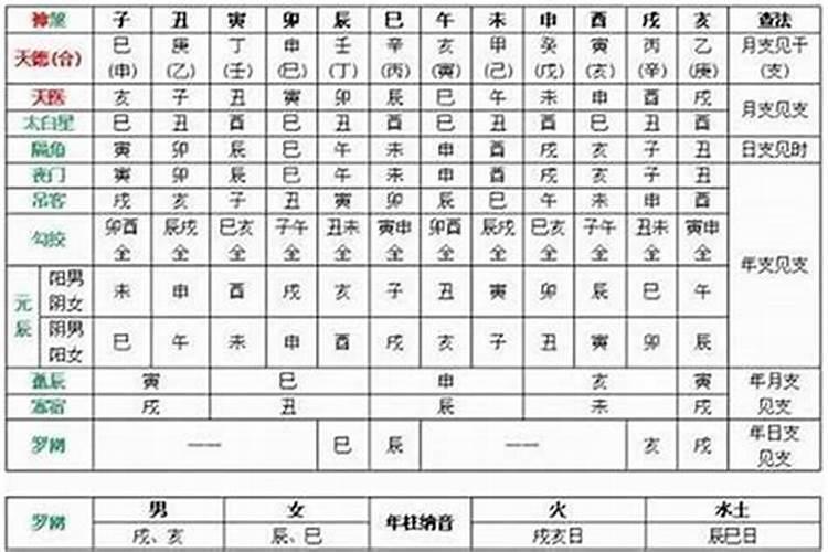丁壬合化木喜逢寅