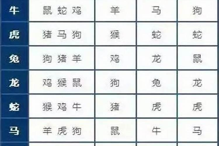 生肖龙男的最佳婚配属相