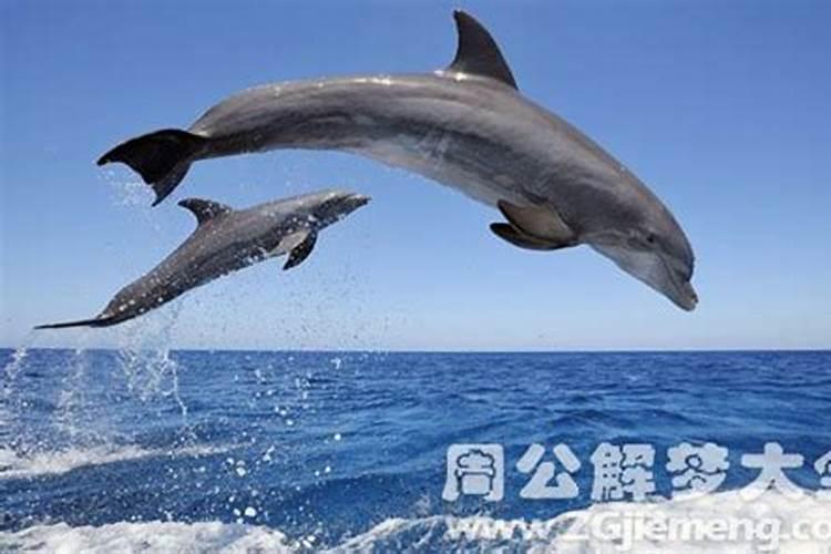 十二生肖排序年份,十二生肖配对表年份查询