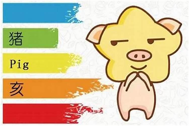 还寿生债怎么查怎么计算