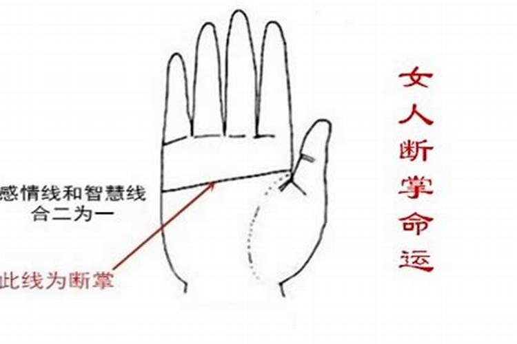 2025属龙犯太岁吗