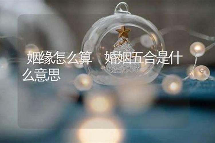 求解签“劝君把定别犹豫,和合重重常吉庆。天注衣禄自有余,时来终于得...