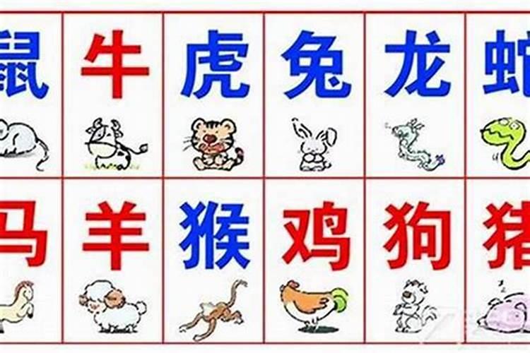 属相不合八字就不合吗,八字不合,生肖相冲不能在一起吗