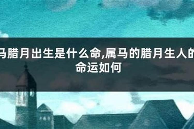 兔人2025年农历每月运势