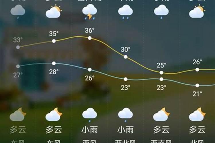 属龙2025年运势及运程每月运程