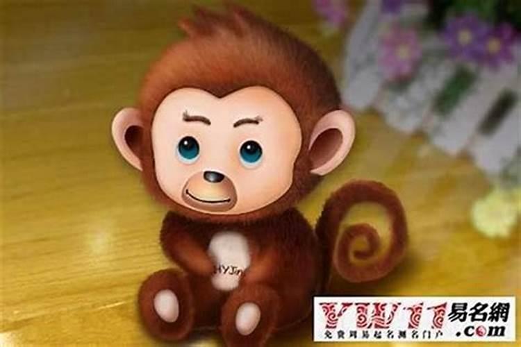 属猴男的和什么属相较配