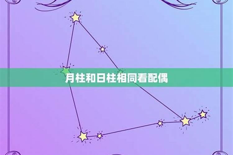 八字看你未来另一半的属相？
