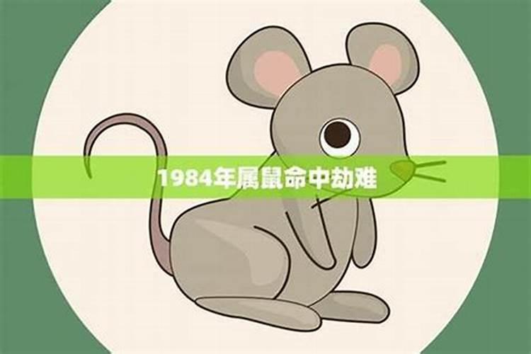 鼠年犯太岁的四个属相