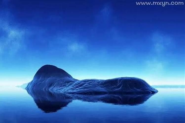 梦见海里出来大鲤鱼