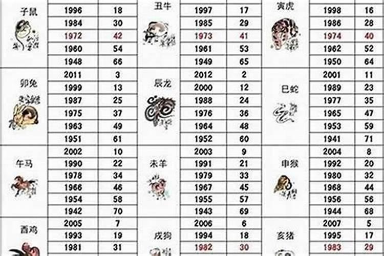 冬至出生的龙宝宝