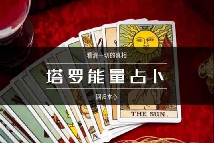 2025属狗犯太岁吗 属狗人2025年综合运势