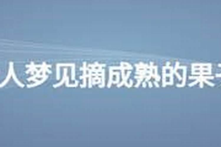 梦见果树结满果子我摘吃