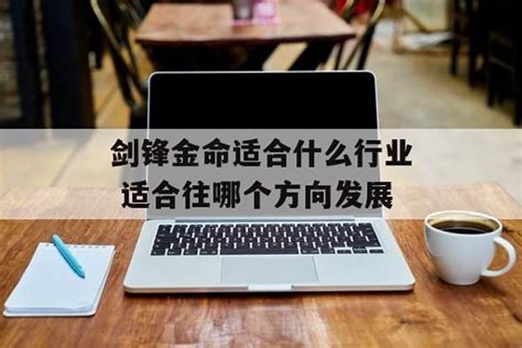 剑锋金命适合什么行业